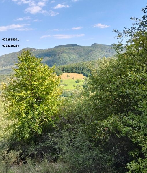 Metes, jud. Alba ocazie, 70000 mp, munte,
