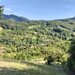 Metes, jud. Alba ocazie, 70000 mp, munte,