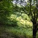 Metes, jud. Alba ocazie, 70000 mp, munte,